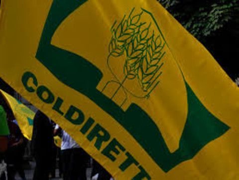 Via libera dall'UE all'etichetta nutrizionale a colori, Coldiretti Cuneo lancia l'allarme: "Made in Italy sotto attacco"