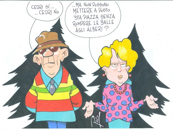 LA CITTA' DEI CEDRI LA CITTA' DEI CEDRI