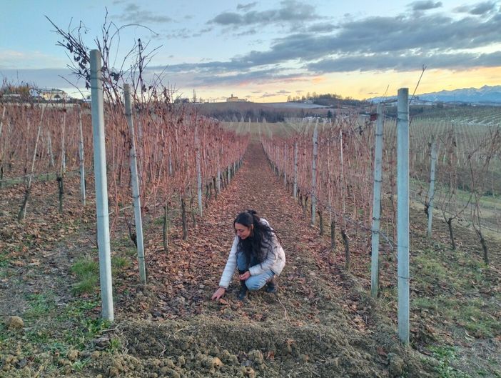 Langa Cruda: l'artista Sara Melis trasforma la terra dei vigneti langaroli in opere d'arte