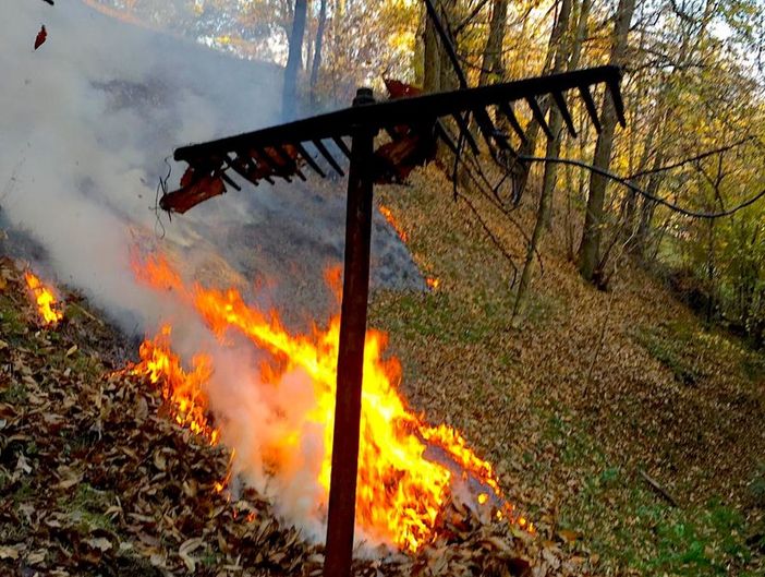 Da oggi in Piemonte niente abbruciamenti di materiale vegetale