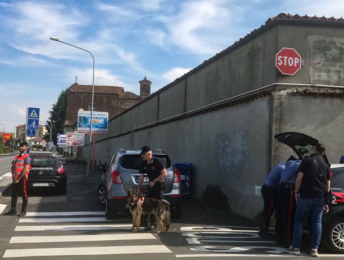 Controlli antidroga in centro Saluzzo: le unità cinofile scovano 5 grammi tra marijuana e hashish
