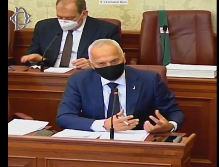 Pac, Bergesio (Lega): "Riconoscere l’agricoltura contadina come modello"