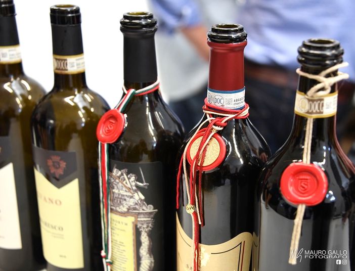 Ph. Mauro Gallo Foto, Alba Ph. Mauro Gallo Foto, Alba