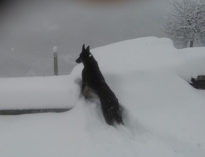 Bassa pressione e aria artica sulla provincia di Cuneo: in arrivo nevicate fino a bassa quota