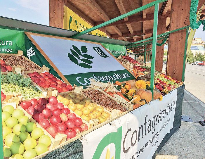 Autunno “avaro” di eventi enogastronomici, contraccolpi per l’agricoltura cuneese Autunno “avaro” di eventi enogastronomici, contraccolpi per l’agricoltura cuneese