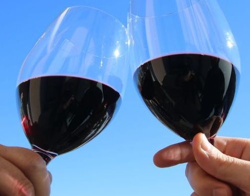 Enoteca regionale del Roero in festa: domenica 13 luglio un momento di incontro fra le cantine e il territorio nel centro storico di Canale Enoteca regionale del Roero in festa: domenica 13 luglio un momento di incontro fra le cantine e il territorio nel centro storico di Canale