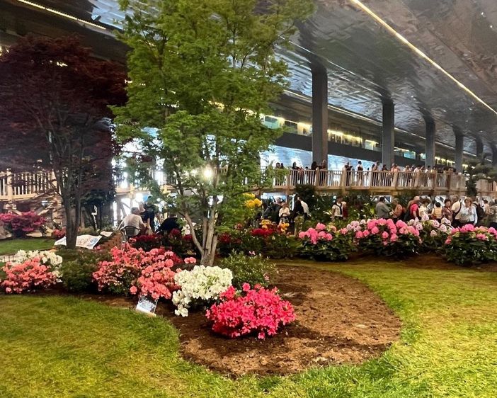 Allestimento Asproflor a Euroflora 2025 Allestimento Asproflor a Euroflora 2025