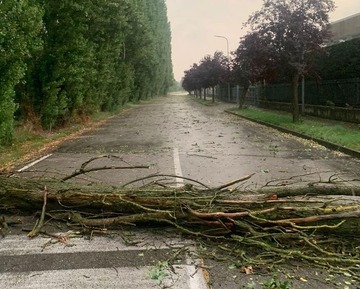 Negli scatti pubblicati da Marinella Sillano sulla sua pagina Facebook il pioppo cipressino caduto presso la zona artigianale di Montà, dove si sono verificati anche altri danni