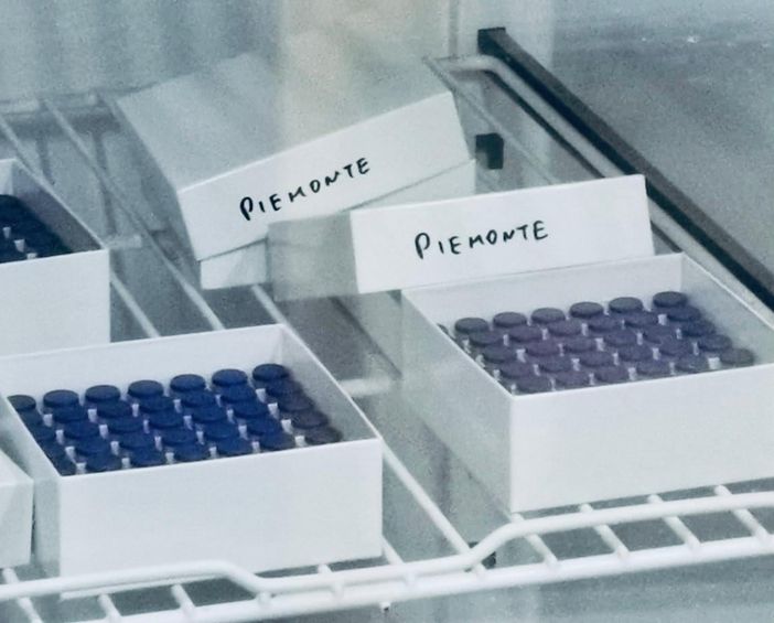 V-Day, il vaccino anti Covid è arrivato a Torino. Cirio: "La speranza riparte da qui" (FOTO E VIDEO)