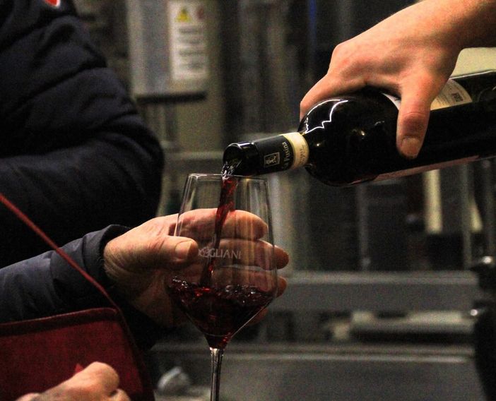 A Dogliani torna l'itinerario dell'enovago