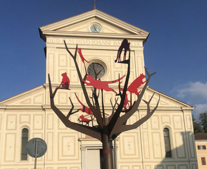 A Farigliano l'albero dei gatti rossi omaggia il paese e la vita A Farigliano l'albero dei gatti rossi omaggia il paese e la vita