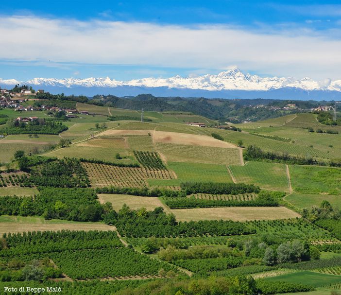 A Treiso un convegno su tradizione e innovazione