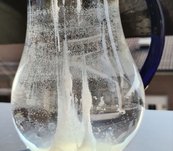 Nella foto l’esperimento riuscito all’insegnante braidese Caterina Milanesio Nella foto l’esperimento riuscito all’insegnante braidese Caterina Milanesio