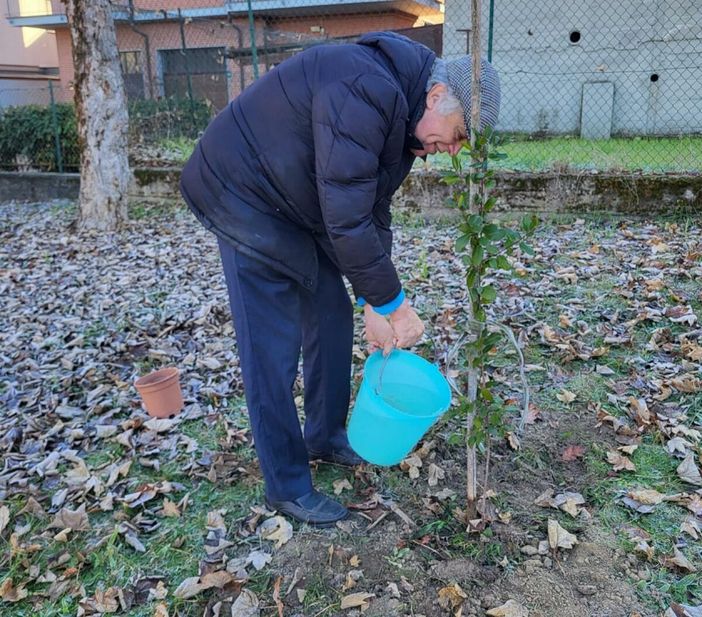 La piantumazione dell'albero, lo scorso sabato 28 novembre La piantumazione dell'albero, lo scorso sabato 28 novembre