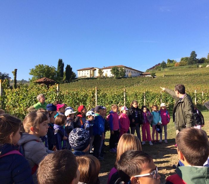 Gli alunni delle classi seconde della Scuola Primaria "G. Rodari" di Alba nei vigneti della Scuola Enologica, accompagnati dal prof. Binello