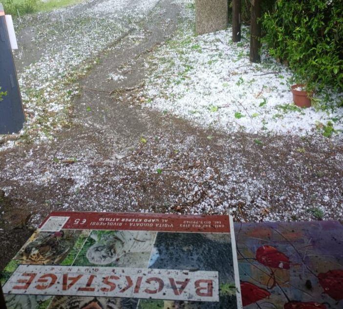 Murazzano, dopo l'intensa grandinata del 2 giugno l'appello del Parco Safari: "Animali salvi, ma strutture devastate" Murazzano, dopo l'intensa grandinata del 2 giugno l'appello del Parco Safari: "Animali salvi, ma strutture devastate"