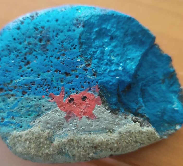 Rispunta a Fossano un "sasso per un sorriso", lasciato in via Marconi e ritrovato e postato su social Rispunta a Fossano un "sasso per un sorriso", lasciato in via Marconi e ritrovato e postato su social