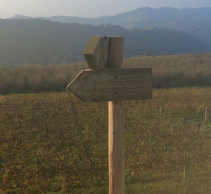 Tre comuni e 17 km tra vigne e centri abitati: domenica a Diano d'Alba si inaugura il "Sentiero del Dolcetto" Tre comuni e 17 km tra vigne e centri abitati: domenica a Diano d'Alba si inaugura il "Sentiero del Dolcetto"