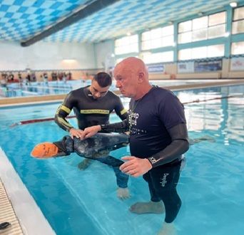 Paolo Frigo della Mondovì Sub conquista l'argento al 6° trofeo Apnea Life Team Paolo Frigo della Mondovì Sub conquista l'argento al 6° trofeo Apnea Life Team