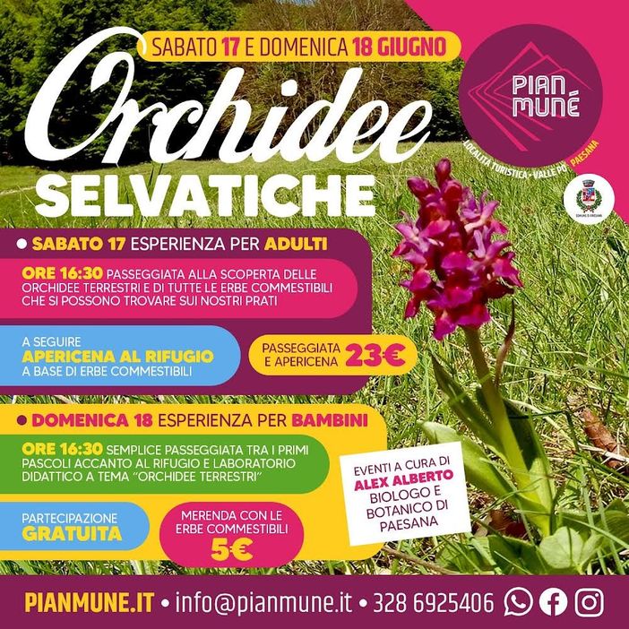 Pian Munè di Paesana: le Orchidee Selvatiche
