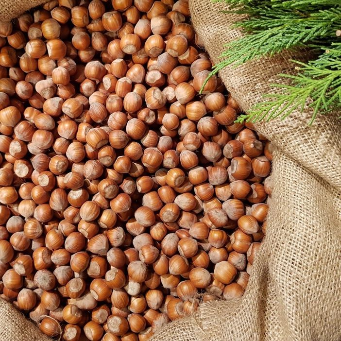 Quotazione nocciole, anche la Cia chiede un tavolo di concertazione regionale Quotazione nocciole, anche la Cia chiede un tavolo di concertazione regionale