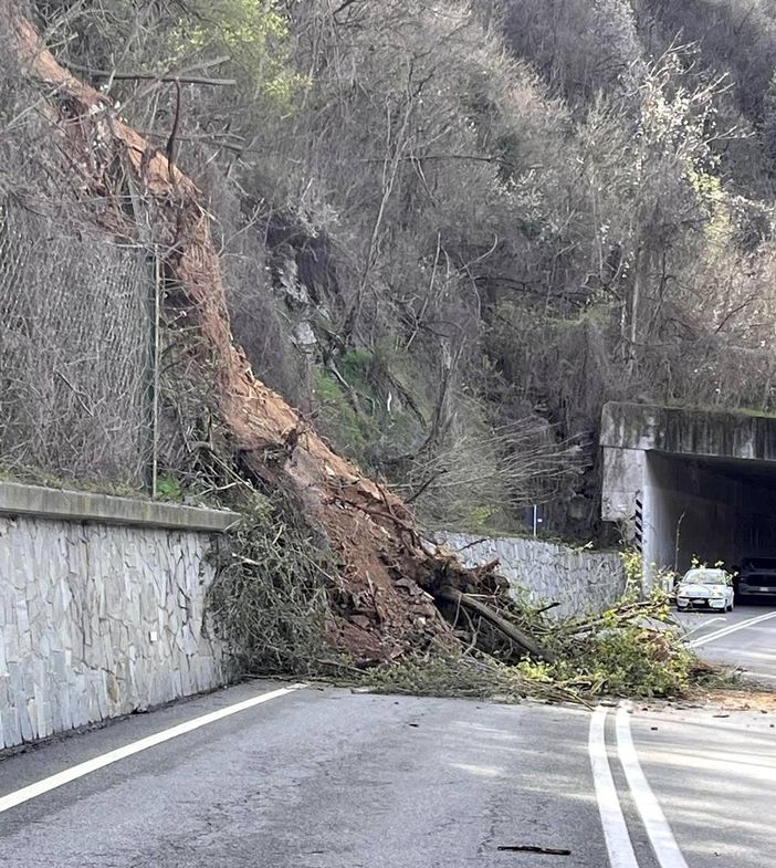 La frana verificatasi lungo la Statale 28 La frana verificatasi lungo la Statale 28