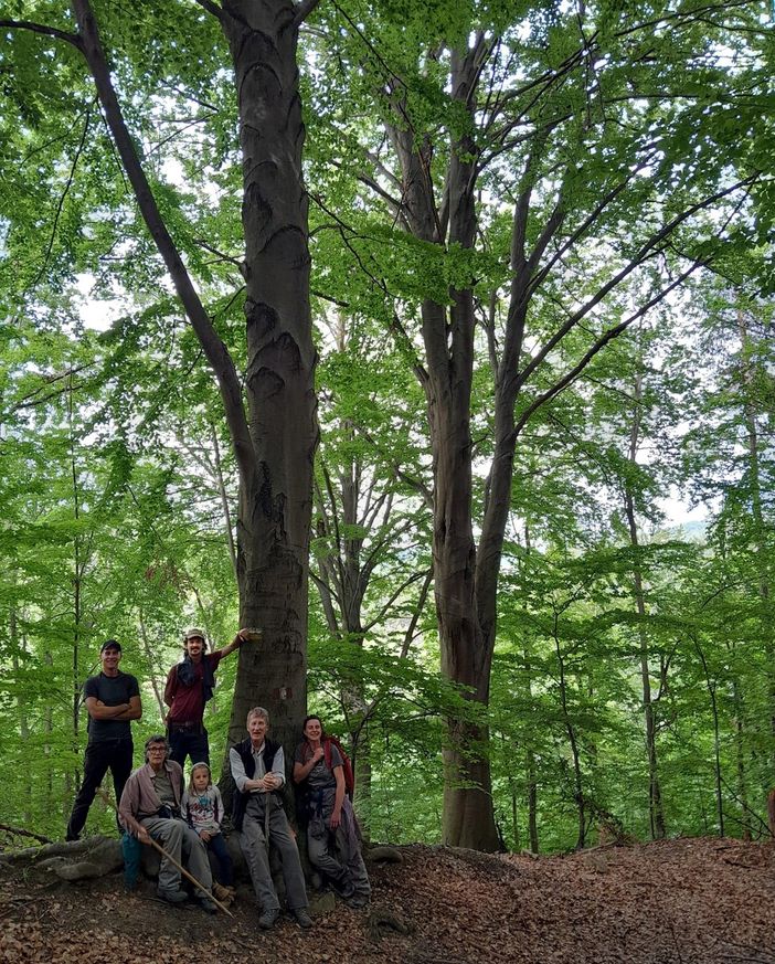 Alba, incontri con Langa Silvatica "I want to be tree"