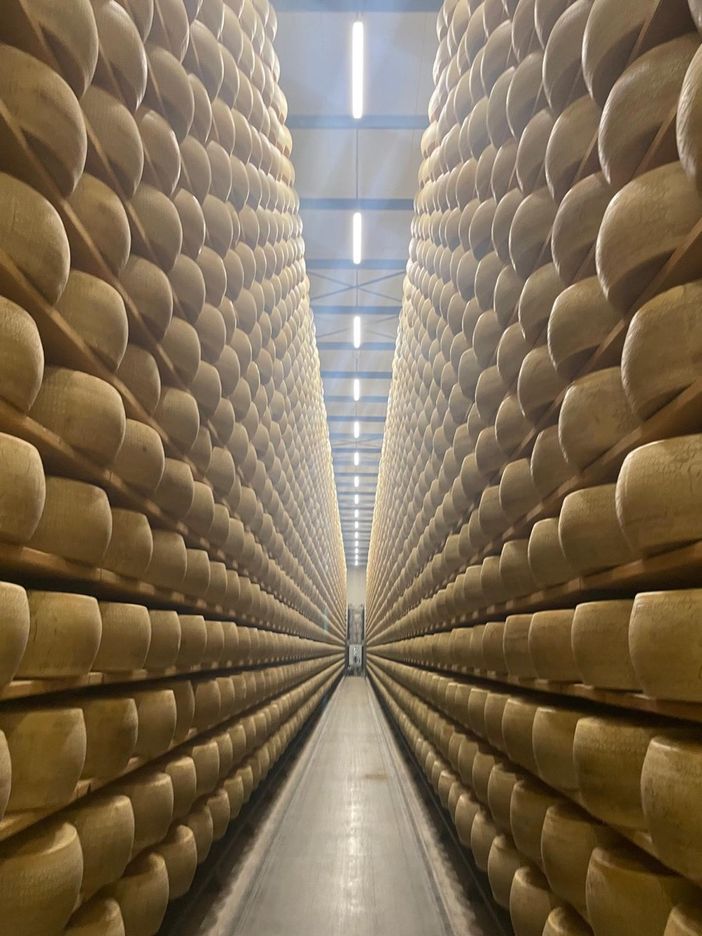 Il "Bianco" della cooperativa Piemonte Latte: un progetto che continua dal 2023 con ottimi risultati Il "Bianco" della cooperativa Piemonte Latte: un progetto che continua dal 2023 con ottimi risultati