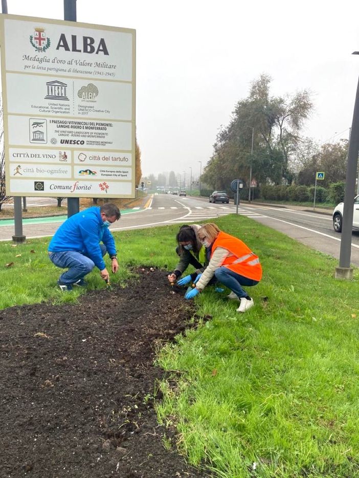 Da Messer Tulipano 3mila bulbi in dono per Cuneo e Alba