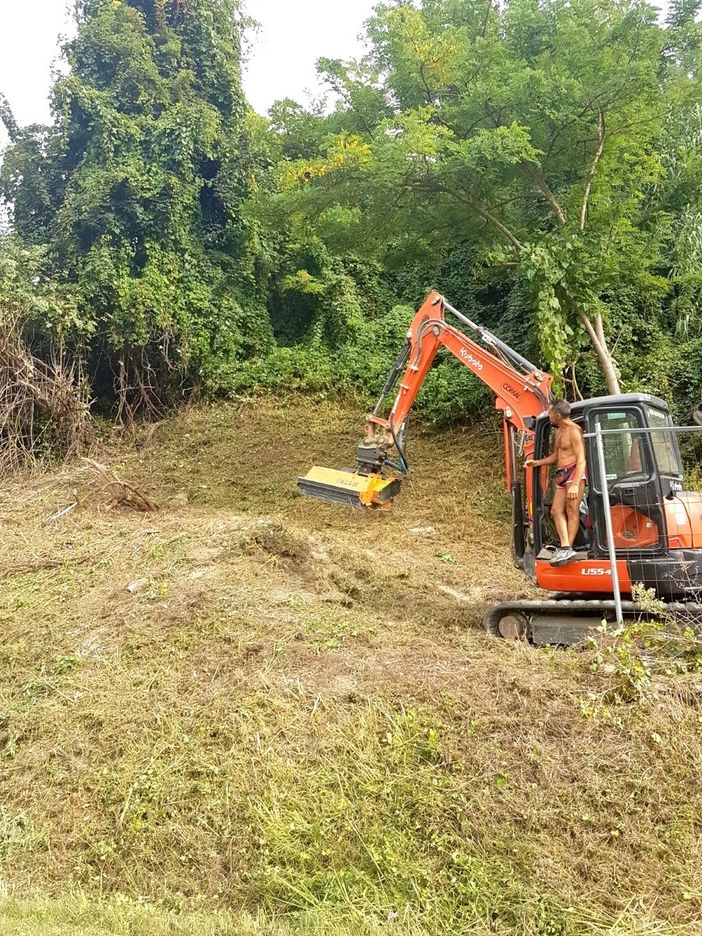 La ditta Sam di Alba ha già iniziato la pulizia del versante franato occupato da anni dalla folta vegetazione infestante. Altri lavori di ripristino a breve