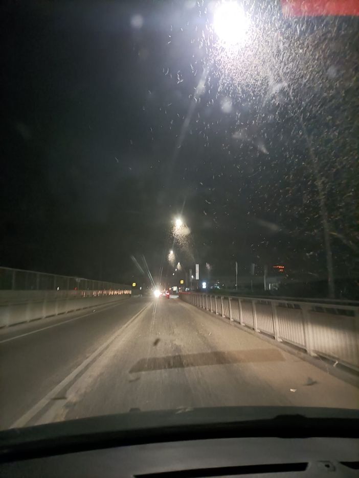 Le "effimere" iniziano ad invadere il ponte vecchio di Tanaro: per alcuni giorni saranno presenti nelle ore notturne.