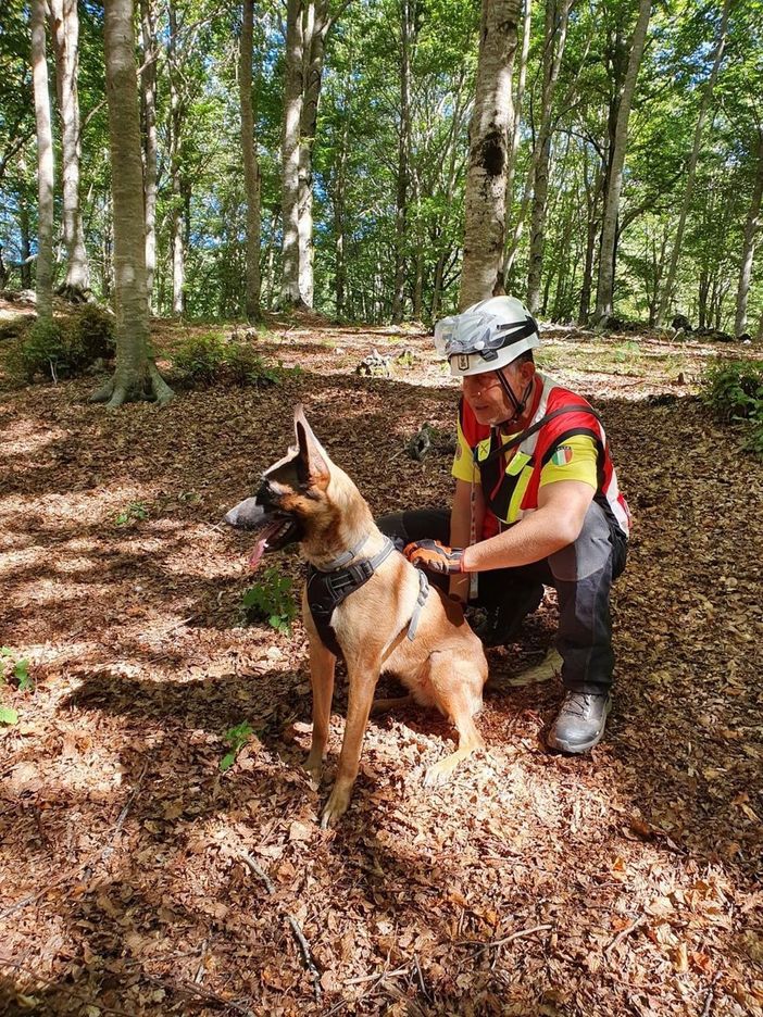 Esercitazione di cani da soccorso ad Alba: 27 unità cinofile da tutta Italia
