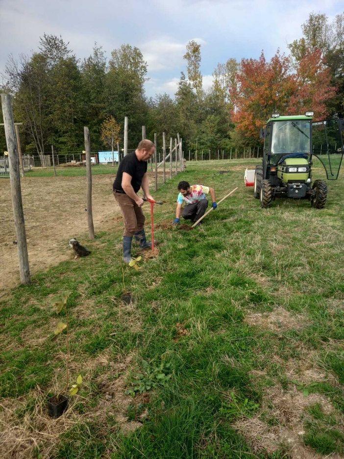 A Beinette un'Oasi della Biodiversità con cento piante da nettare per nutrire 150 mila impollinatori A Beinette un'Oasi della Biodiversità con cento piante da nettare per nutrire 150 mila impollinatori