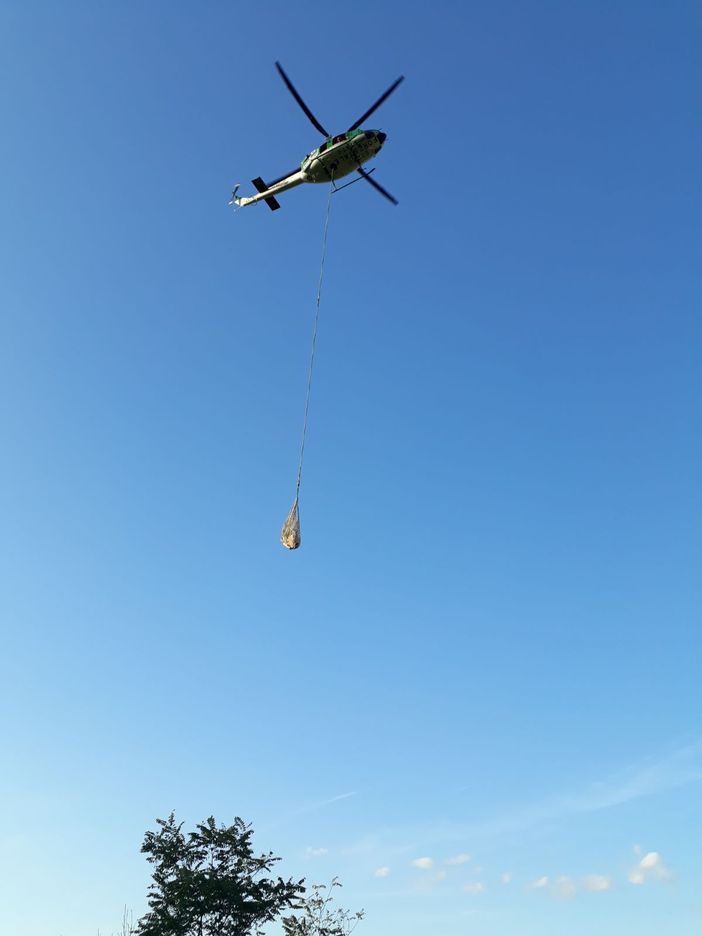 Immagine di repertorio