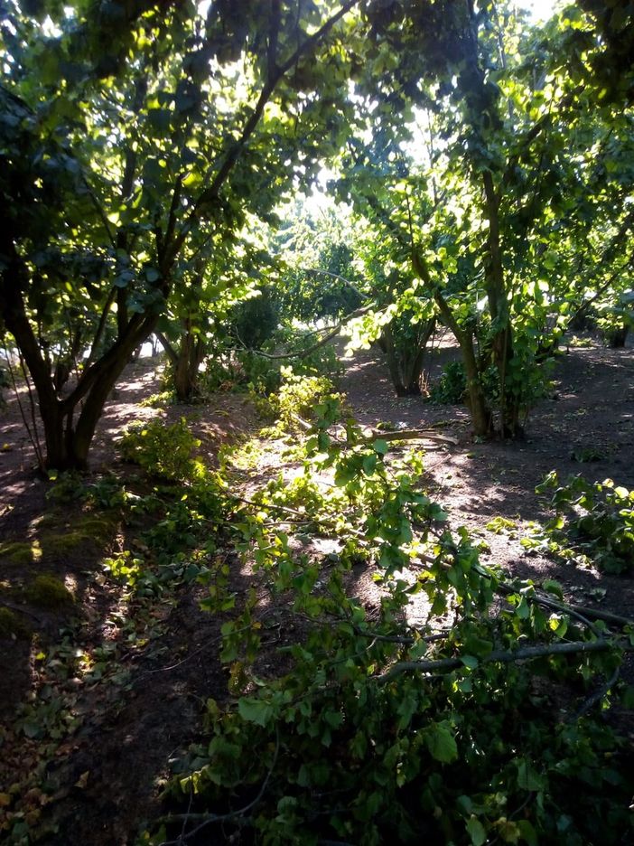 Foto Beppe Fenocchio e Secco Davj Foto Beppe Fenocchio e Secco Davj