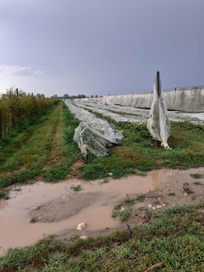 Ondata di maltempo su saluzzese, fossanese e zona di Dogliani: Cia Cuneo fa la conta dei danni