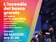 "L’incendio del bosco grande", un’opera per la volpe Metà "L’incendio del bosco grande", un’opera per la volpe Metà