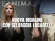 Il caso era stato ripreso dalla nota giornalista Selvaggia Lucarelli Il caso era stato ripreso dalla nota giornalista Selvaggia Lucarelli