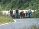 Una scena dal film-doc della Rai “Transumanza: il ritorno a casa” Una scena dal film-doc della Rai “Transumanza: il ritorno a casa”