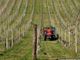 Agricoltura e sfruttamento del lavoro, le problematiche presentate dalle associazioni di categorie