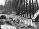 Dagli archivi del Gruppo Fotografico Albese una delle immagini simbolo della distruzione abbattutasi su Alba nella notte tra sabato 5 e domenica 6 novembre 1994: le carcasse delle auto trascinate dalla furie delle acque nei pioppeti prossimi alla tangenziale