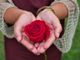 Sorprese romantiche per san Valentino: ecco 10 idee