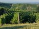 L'estate del turismo di prossimità in Langa, Roero e Monferrato per un ritorno alle radici L'estate del turismo di prossimità in Langa, Roero e Monferrato per un ritorno alle radici