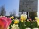 Alba: 3mila bulbi di tulipano donati alla città dal Castello di Pralormo Alba: 3mila bulbi di tulipano donati alla città dal Castello di Pralormo