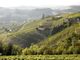 Le colline del Moscato (Ph. Consorzio dell'Asti)