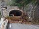 Un enorme albero cade sulla strada tra Fontan e St Dalmas de Tende: circolazione sospesa