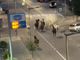 I cavalli sciolti per le strade di Alba I cavalli sciolti per le strade di Alba
