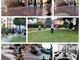 Un collage  delle attività dell'associazione ParkiAmo