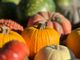 Coldiretti: la “zucca economy” di Halloween vale oltre 30 milioni di euro