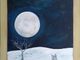 In arrivo la splendida Luna della Neve, da non perdere